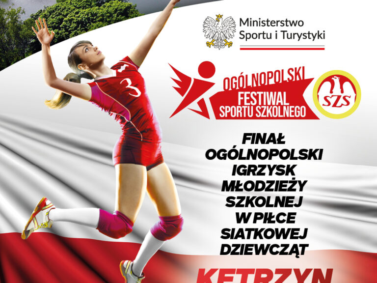 Finał siatkówki